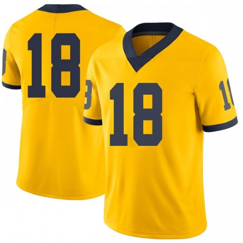 Luiji Vilain Michigan Wolverines Youth NCAA #18 Maize Limited Brand Jordan College Stitched Football Jersey WNU4654AB